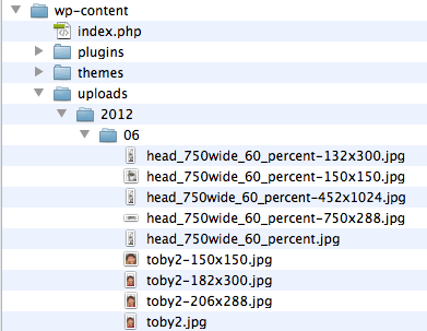 Wordpress folders showing image storage folder setup